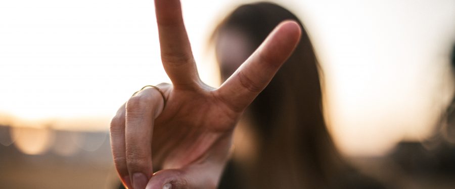 Bronx County Demonstrated Political Force