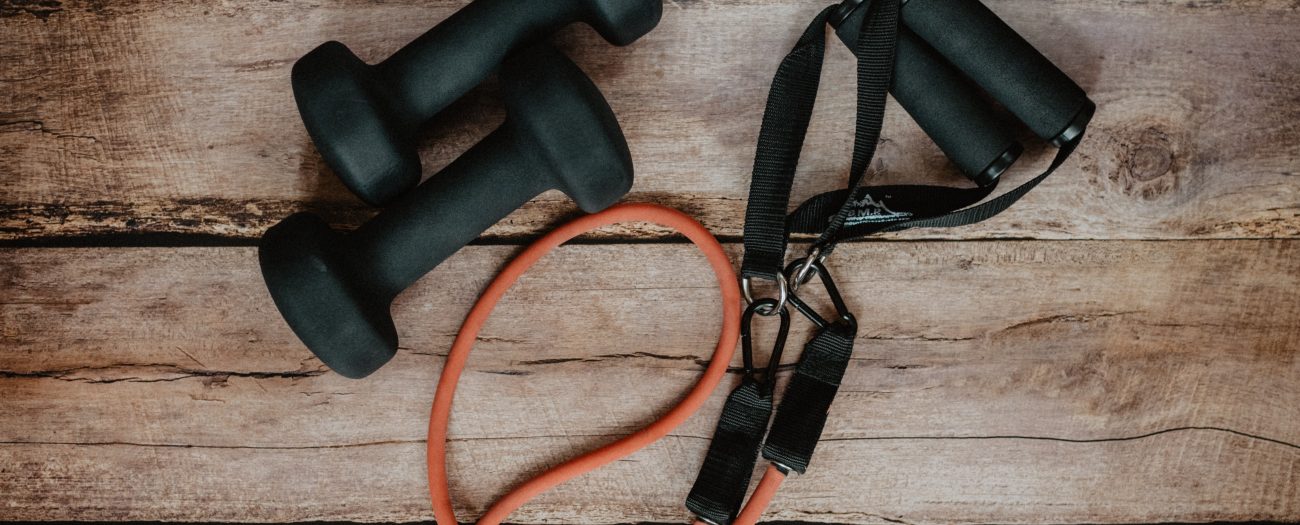 The Bronx Daily | Bronx.com