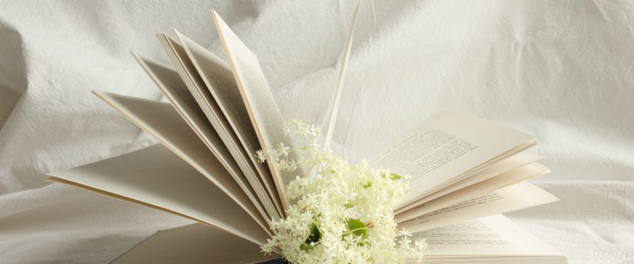 Bronx Book Fair 2021