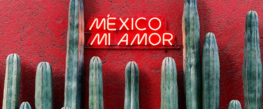 Chad Wold On SCOTUS Reinstating   “Remain In Mexico”  Policy