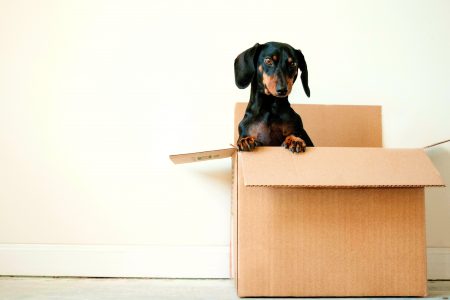 Your Tips To The Big Move