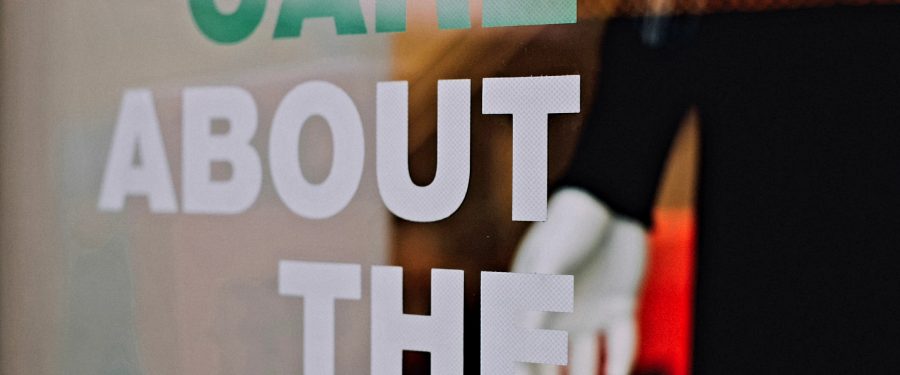 Bronx People’s Festival Strives To Raise Awareness About The Borough’s Future