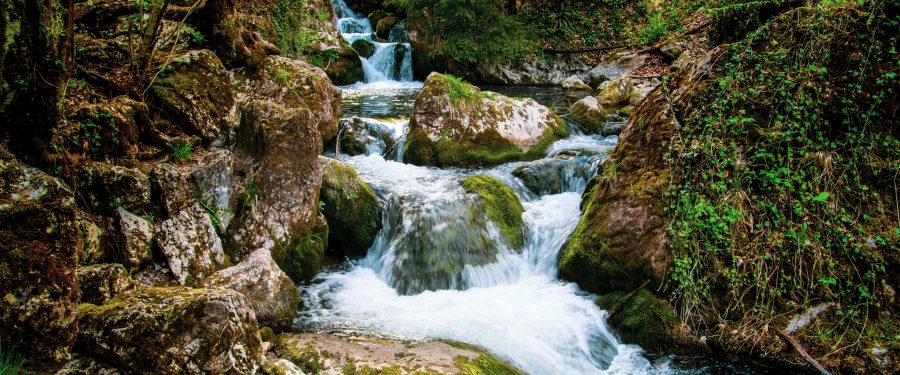 Bronx & Harlem Rivers Urban Waters Federal Partnership Celebrates 10 Years Of Accomplishments