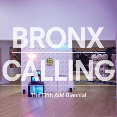 Bronx Calling: The Fifth AIM Biennial