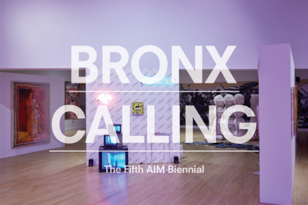 Bronx Calling: The Fifth AIM Biennial
