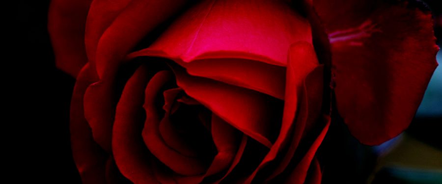 Catherine O’Driscoll Passes At 79