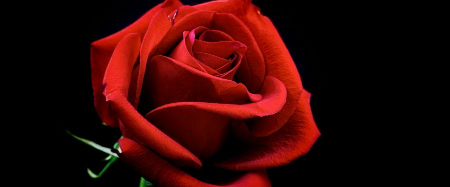 FDNY Probationary Firefighter Vincent Malveaux, 31, Deceased