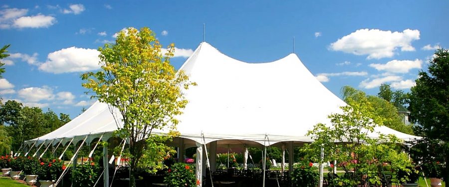 New York City Party Rentals Company Turns Empty Spaces Into Full-Blown Parties