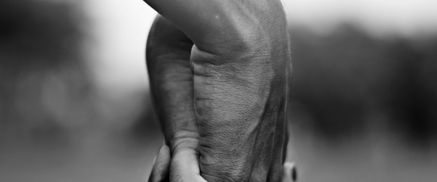 So, You Want To Book An Escort: This Guide Will Help You