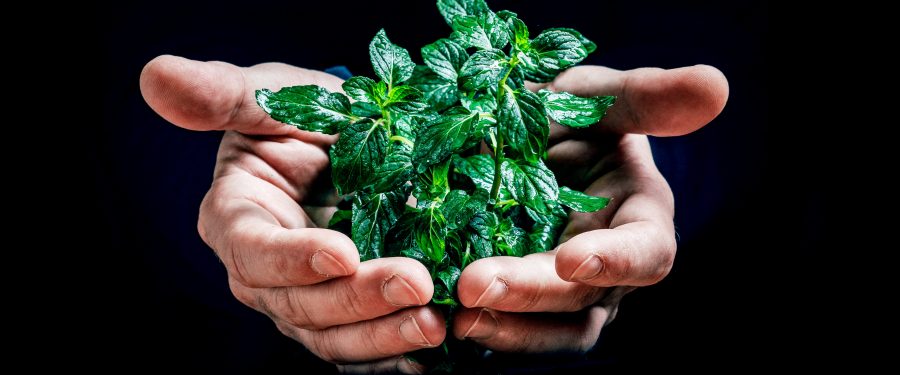 Green Economy Boosts Job Growth In New York