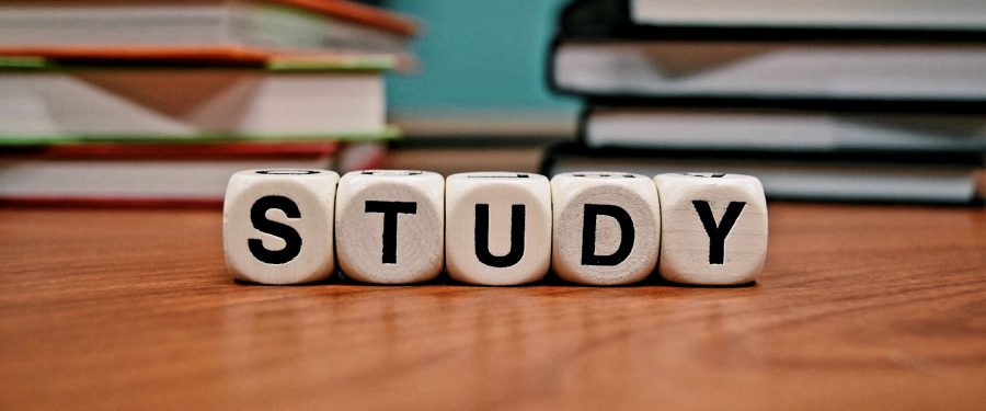 Join The Mott Hall Charter School Free Open House Carnival Event