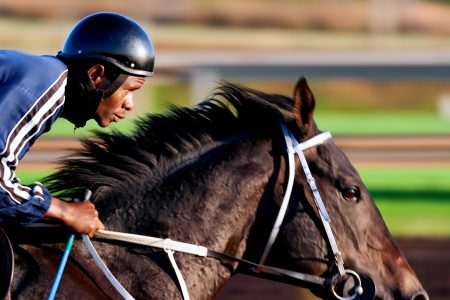 5 Interesting Facts About The Belmont Stakes