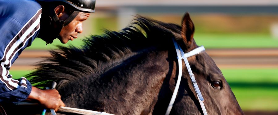 5 Interesting Facts About The Belmont Stakes