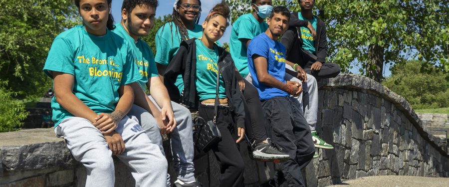 $5 Million Urban Forestry Grant Awarded To Bronx Non-Profit