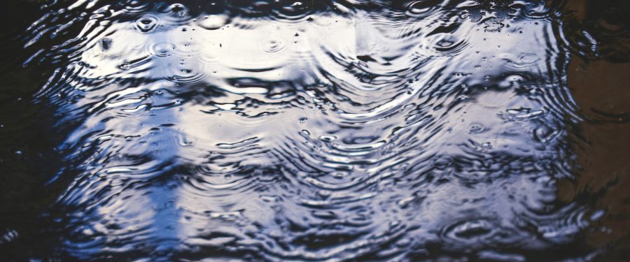 The Ripple Effect: How Flood Zones Influence Bronx Home Prices & Sales