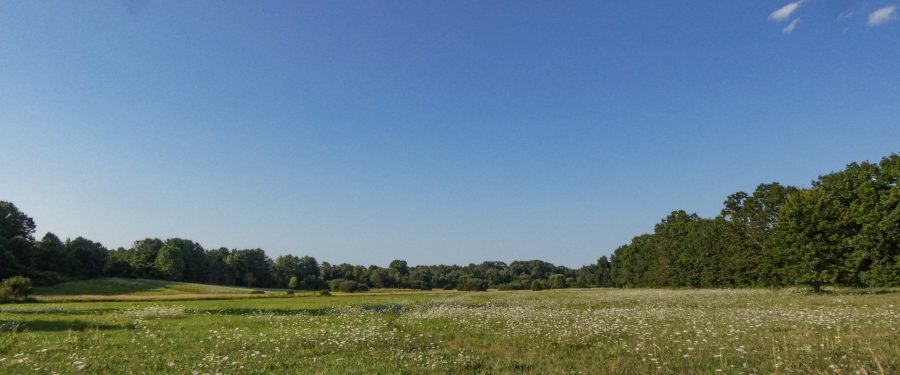 First Public Space Opens In Freshkills Park, Formerly World’s Largest Landfill