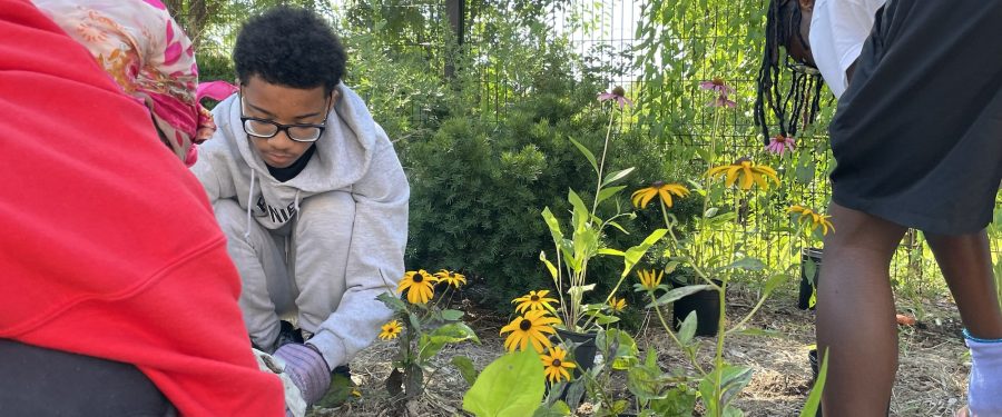 Environmental Enrichment & Leadership For Students At The Bronx River Alliance