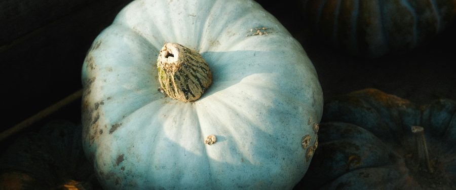 Celebrate Ancestral Wisdom: Connections To The Land