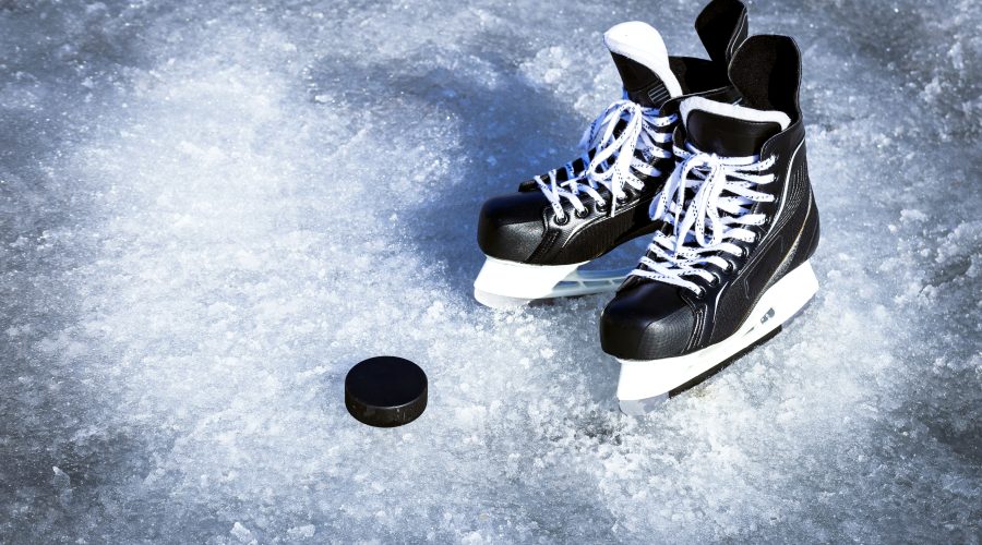 The Bronx Daily | Bronx.com