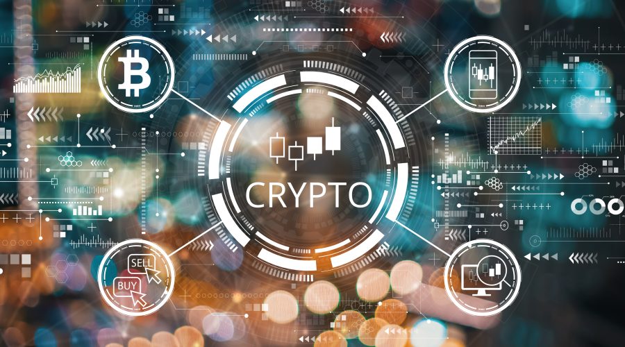 The Bronx Daily | Bronx.com