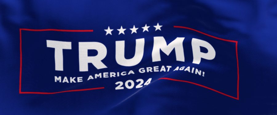 The Bronx County Conservative Party’s Statement On The Conviction Of Donald Trump