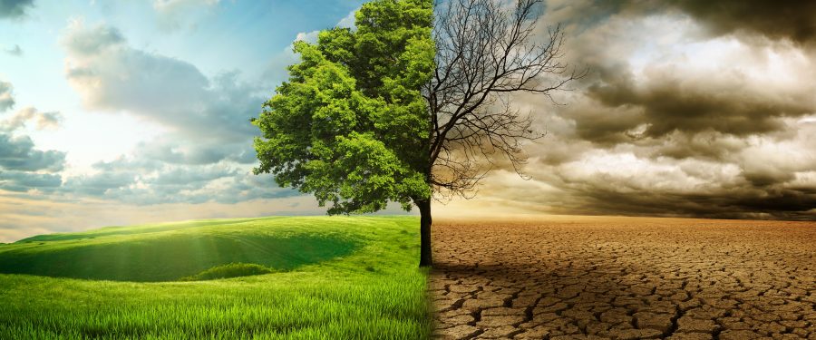 EPA To Award $500K To South Bronx Organization To Combat Impacts Of Climate Change