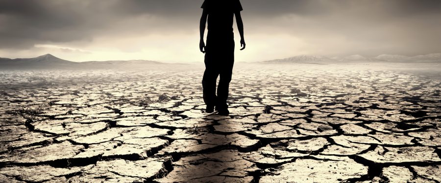 Bronx & Environmental Justice Town Hall