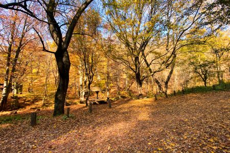 The Day Trips To New Jersey This Fall