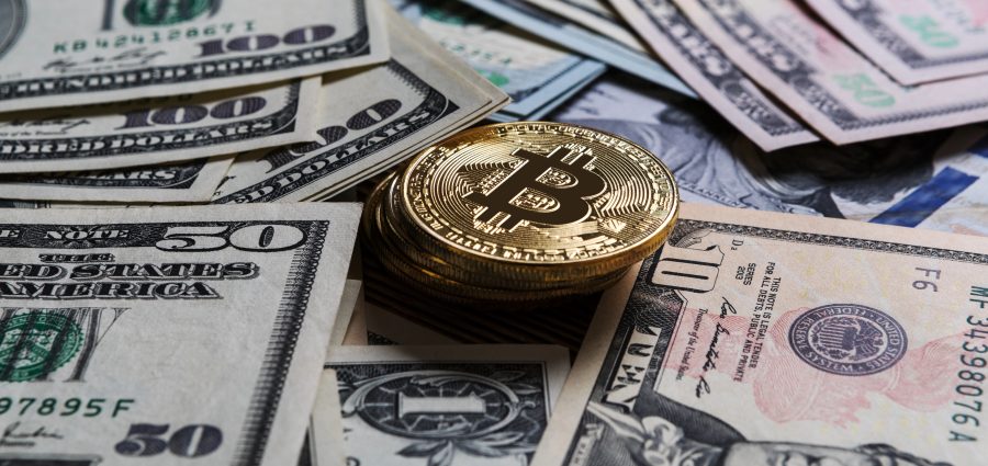 The Bronx Daily | Bronx.com