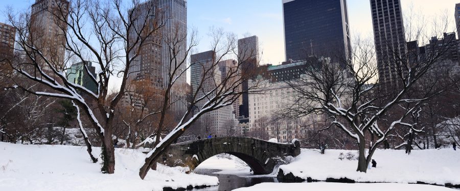 January Plan Makes Our City Safer & More Affordable To Raise A Family