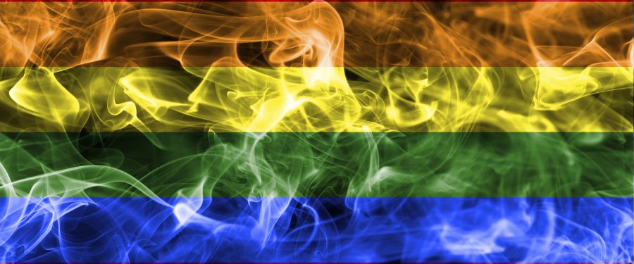 If Burning The American Flag Is Free Speech, Then Why Is There A Man In Prison For Burning The Pride Flag?