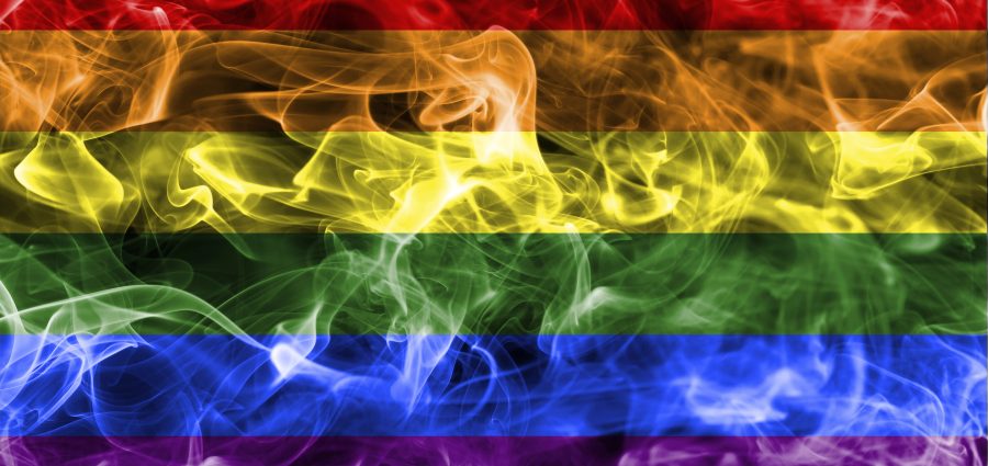 The Bronx Daily | Bronx.com