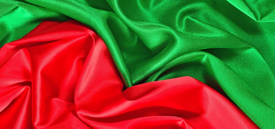 The Bronx Daily | Bronx.com