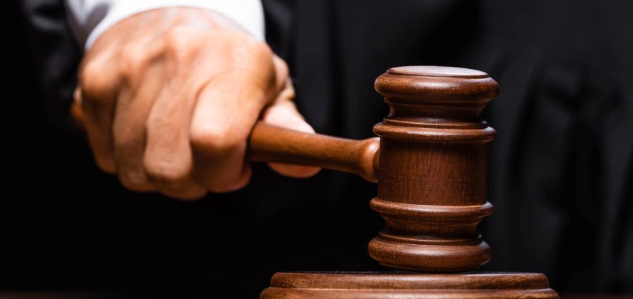 The Bronx Daily | Bronx.com