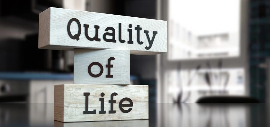 The Bronx Daily | Bronx.com