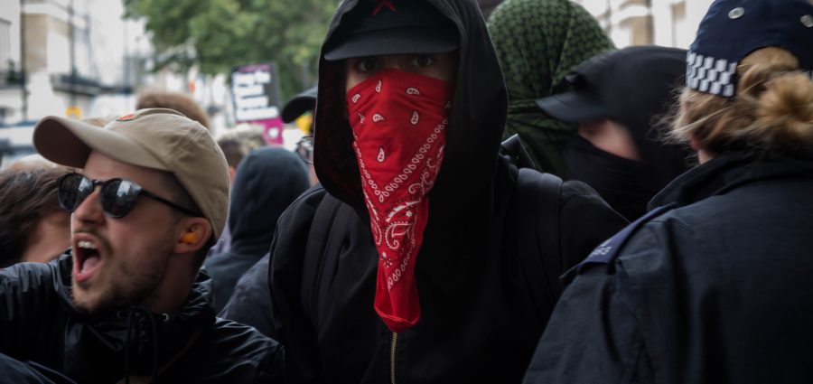 The Bronx Daily | Bronx.com