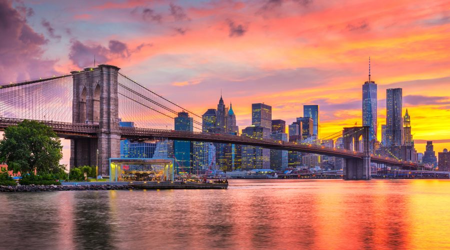The Bronx Daily | Bronx.com