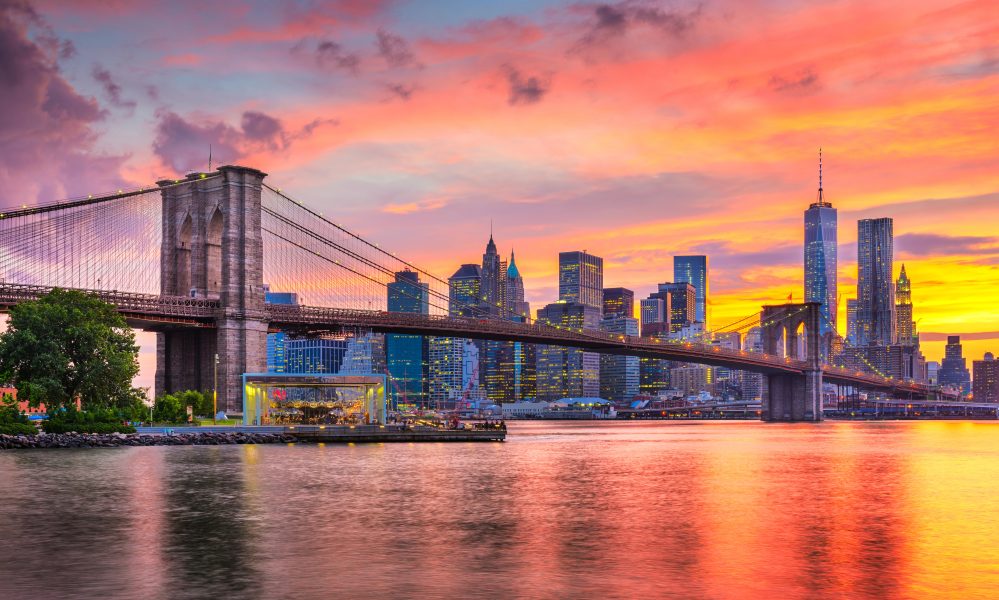 The Bronx Daily | Bronx.com