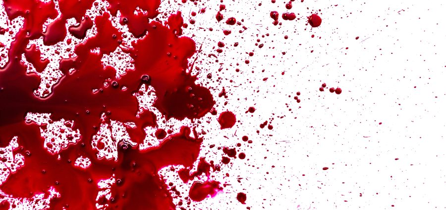 The Bronx Daily | Bronx.com