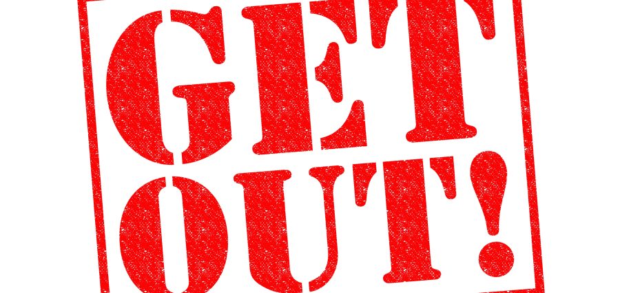 The Bronx Daily | Bronx.com