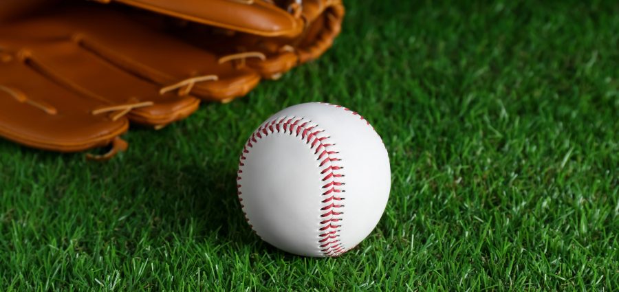 The Bronx Daily | Bronx.com