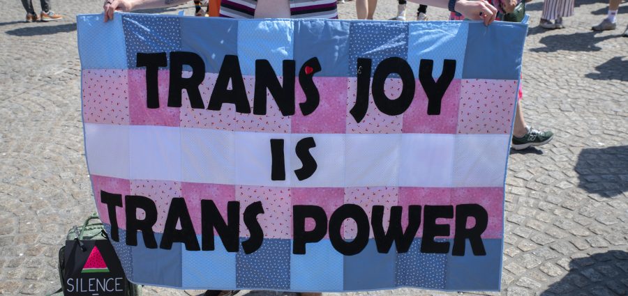 The Bronx Daily | Bronx.com