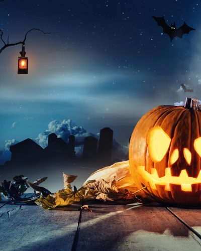 Home The Bronx Daily | Bronx.com