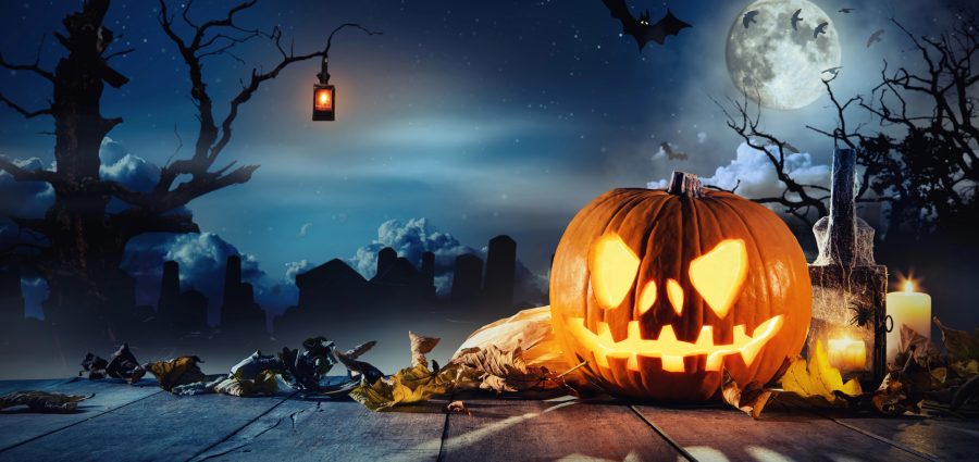 The Bronx Daily | Bronx.com