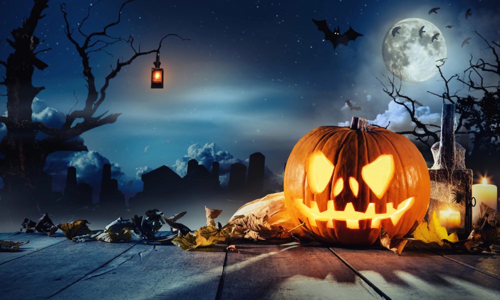 Newspaper 07 The Bronx Daily | Bronx.com