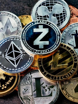 Home The Bronx Daily | Bronx.com