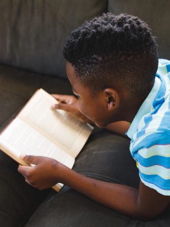 Home The Bronx Daily | Bronx.com