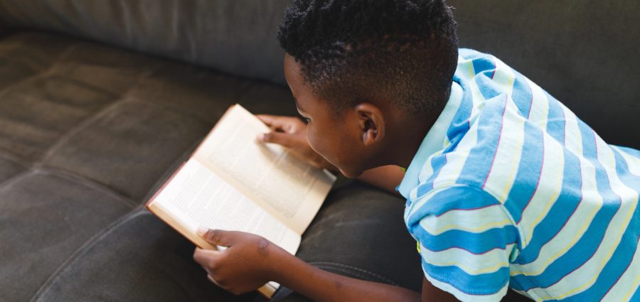 The Bronx Daily | Bronx.com