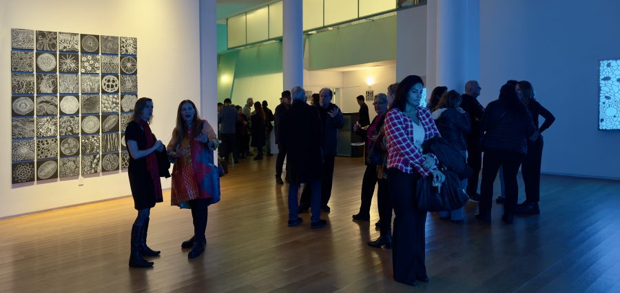 The Bronx Daily | Bronx.com