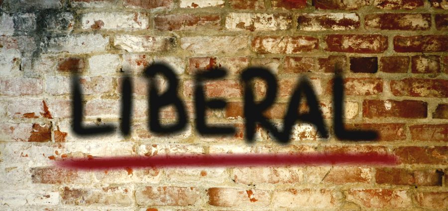 The Bronx Daily | Bronx.com